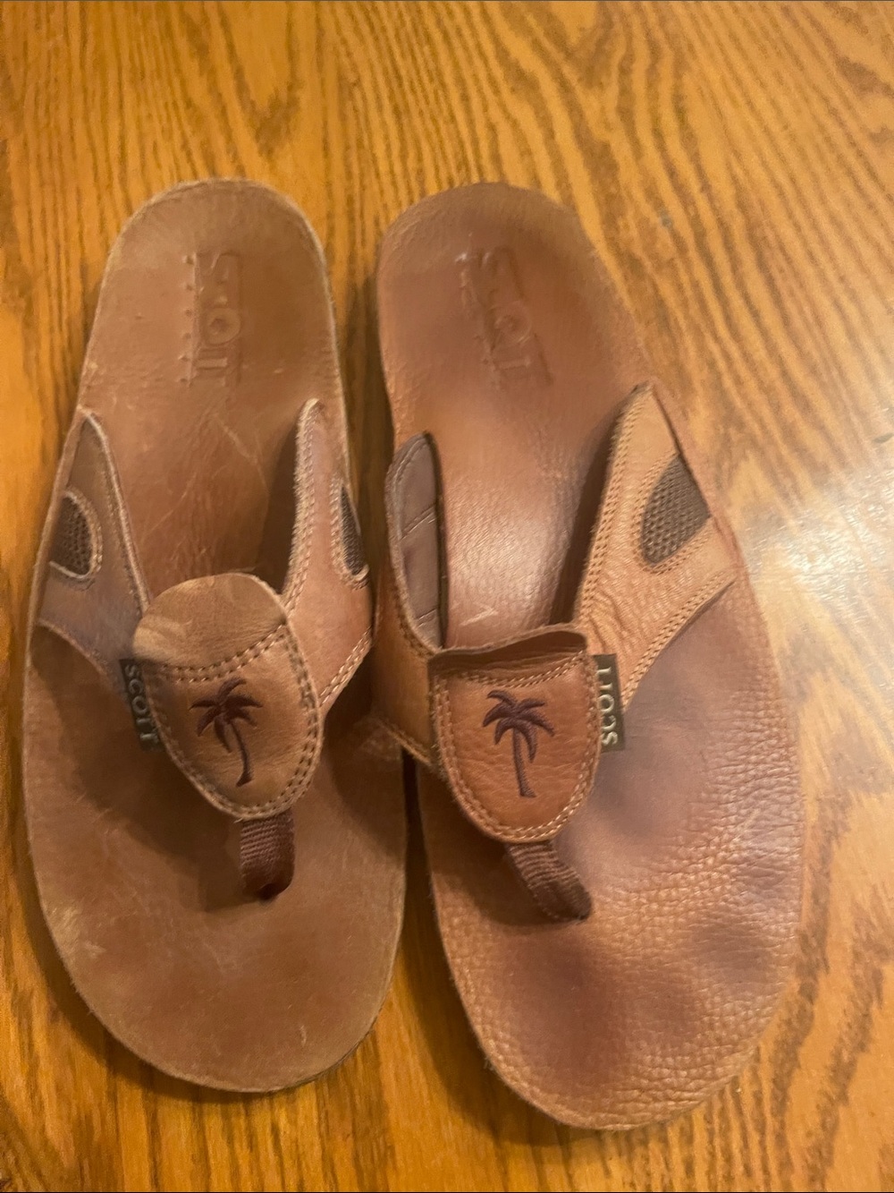 Scott Brown Leather Palm-Emblem Men's Flip-Flops